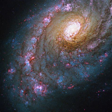 soacle|space news latest.